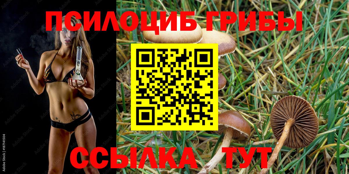 Семёнов  Галлюциногенные грибы GOLDEN TEACHER  наркотики  Галлюциногенные грибы прущие грибы  Вход с VPN 