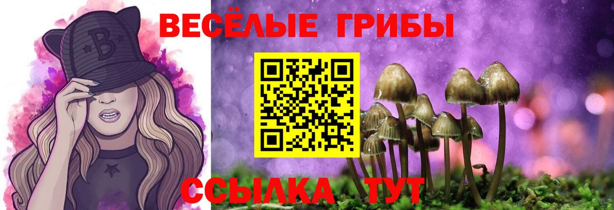 Галлюциногенные грибы мицелий Семёнов